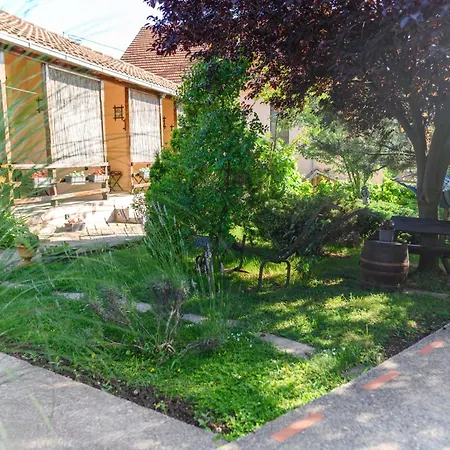 Danestra * 索科矿泉村