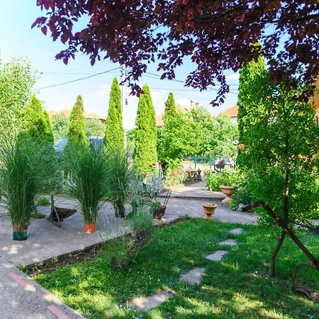 Danestra 招待所 索科矿泉村