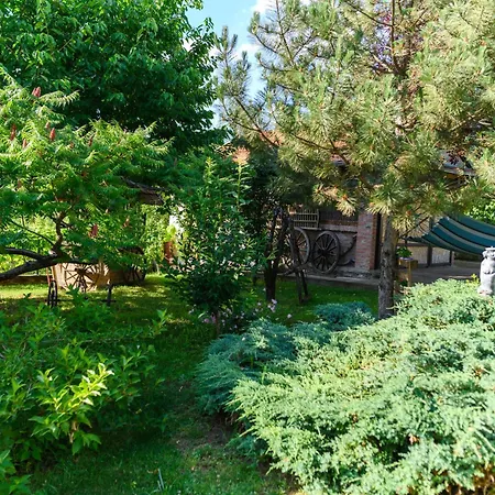 Danestra * 索科矿泉村